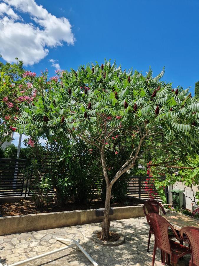 Eden Tisno