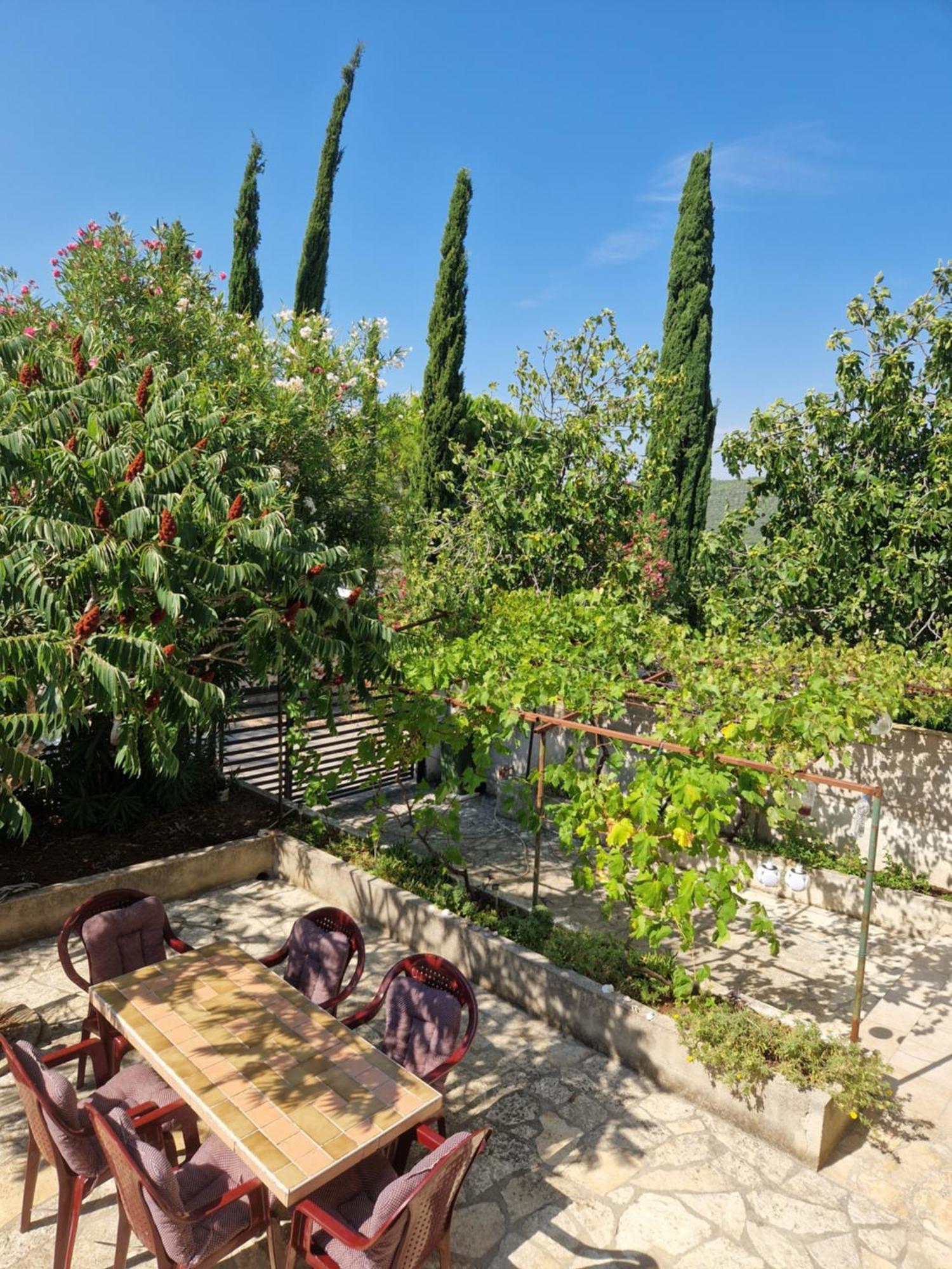 Apartment Eden Tisno