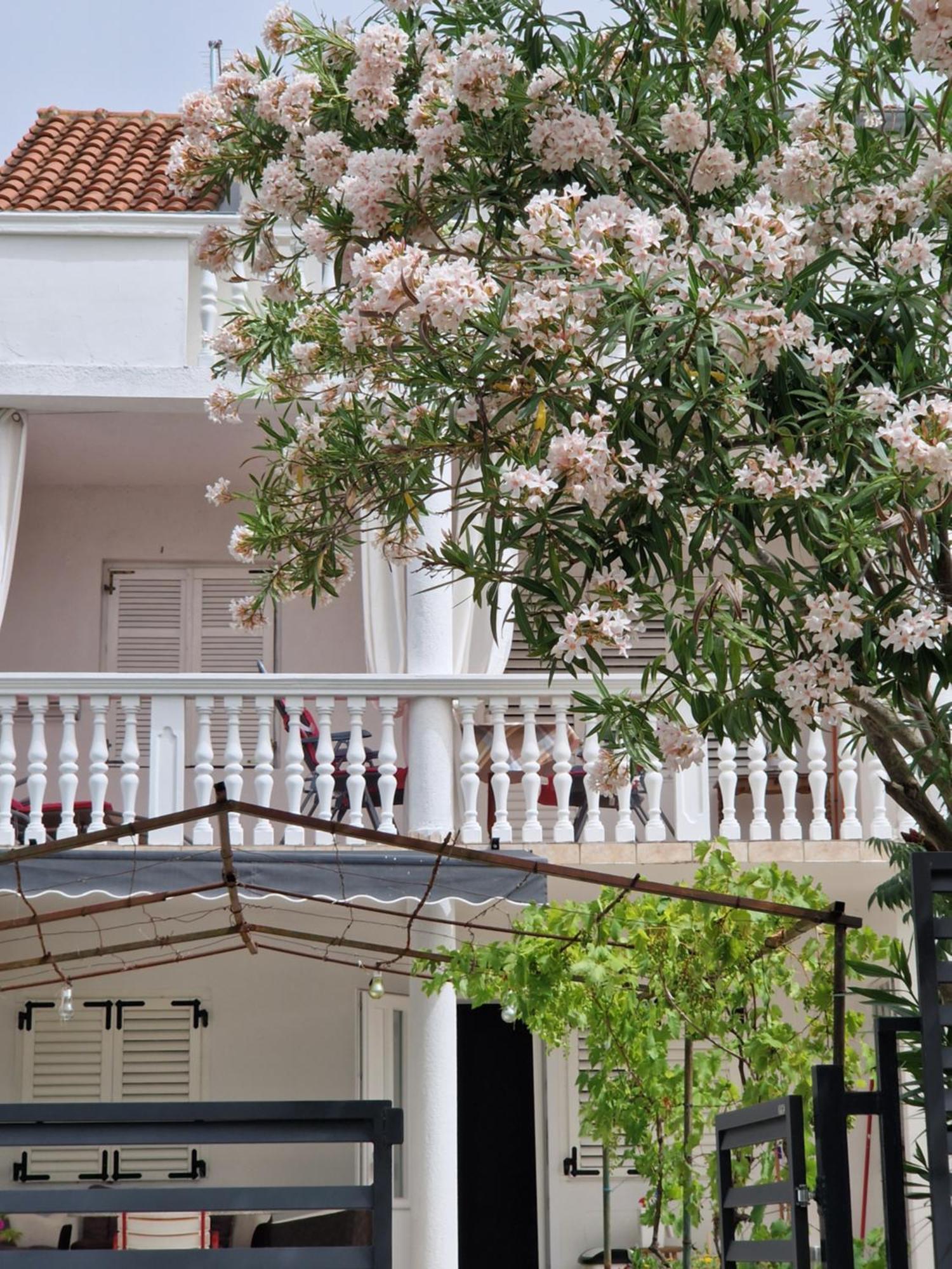 Apartment Eden